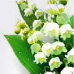 Lily of the valley